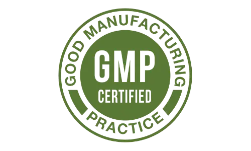 Memodyne GMP Certified Facility